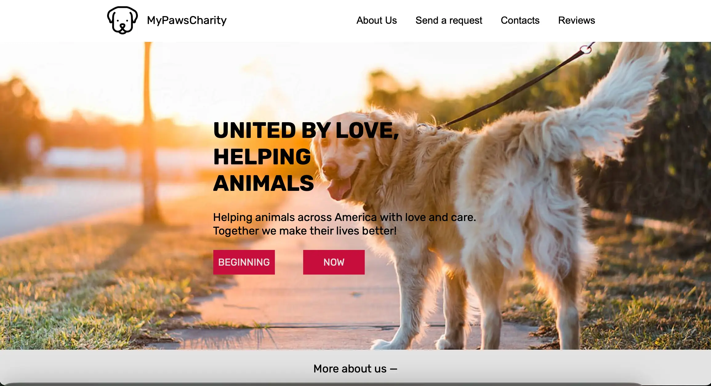 MyPawsCharity Animal Shelter Website - Homepage preview